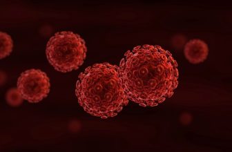 Researchers Investigate Potential Treatment for Eliminating HIV from the Brain