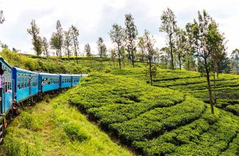 My Perfect 2 Week Sri Lanka Itinerary (2025)