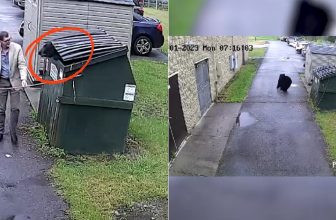 Teacher Finds Shocking Surprise Inside School Dumpster