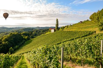 For Over 100 Years, California Winemakers Called This Grape by the Wrong Name