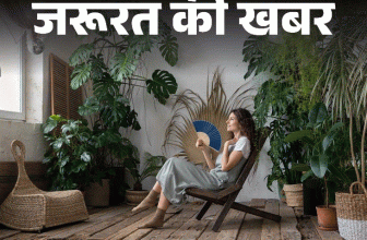Natural Home Cooling Tips; Roof Waterproofing Green Shade Nets | Chune Ki Putai | जरूरत की खबर- गर्मियों में घर को कैसे रखें ठंडा: कम पैसे में नेचुरल कूलिंग के लिए अपनाएं ये 13 आसान टिप्स
