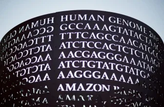 Understanding the Role of HLA-DQA1 in Celiac Disease and Non-Celiac Gluten Sensitivity: A Genetic and Immune Perspective