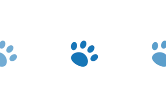 Elfin Fountain D1 Pro Review 2025: Keep Your Pet Hydrated All Day Long