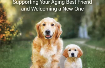 Old Dog, New Dog – The Book Everyone Needs