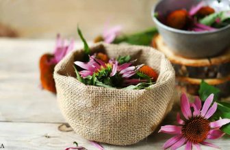 Natural Herbs That Support Your Immune System Against the Flu