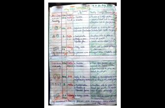 15 to 20 August teacher diary primary school