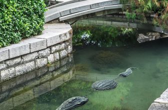 Pool Floating Crocodile Water Decoy Alligator Statue for Pond Yard Outdoor