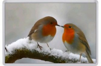 Christmas Robins Fridge Magnet. NEW. Xmas Decor. Winter Scene, Snow. Xmas Decor