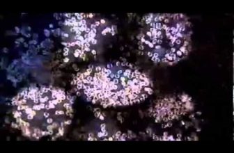 Diamond Labs Documentary on BBC Part 3