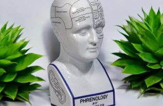 Phrenology Head L.N fowler porcelain 12” ceramic head Antique  crackle glaze