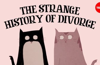 When did humans start getting divorced? – Rod Phillips
