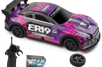 Wltoys 1:22 Electric 4WD RC Racing Car 2.4G Dual Tires Remote Control Vehicle