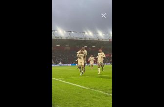 Callum Wilson. 🫡  #football #premierleague #westham