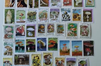 Mushrooms/Fungi Stamps Collection – 50 to 300 Different Stamps