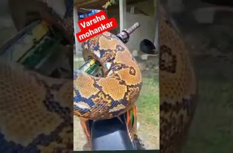 Ajgar | reels | Instagram |viral | trending |tiktok | music