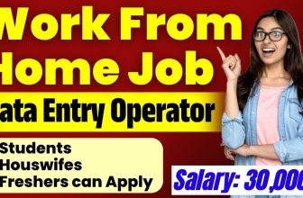 Data Entry Operator Work From Home job | Remote jobs at Home | 2025 Best Work From Home jobs