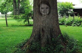 The Face in the Tree