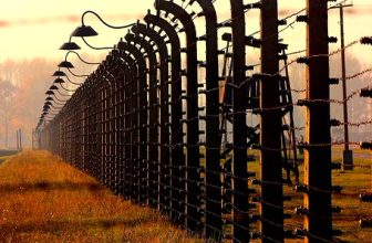 Birkenau November 2015
