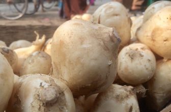 কেসর আলু . . . #bogra #bangladesh #bangladeshi #photography #photoshoot #iphone5sphotography… instagram.com/p/BdDGvzcAqFe/