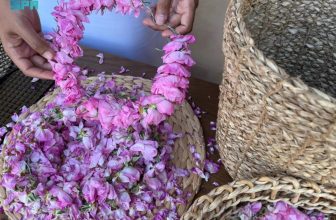 Maximum 3-year jail and fine of SR1 million for violators of geographical indications