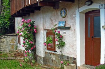 Frammenti di… Cicogna – Parco Nazionale Val Grande, Piemonte Italia
