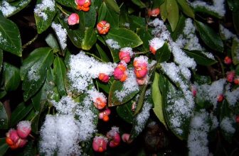 AMBER ALERT! WARNING ! AMBER ALERT!