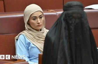 Australia senator condemned for burka stunt in parliament