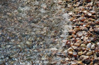 Cape Cod | Nantucket