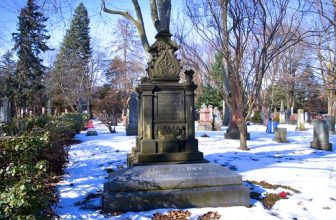 IMGP5643 -1vibfwlconwb