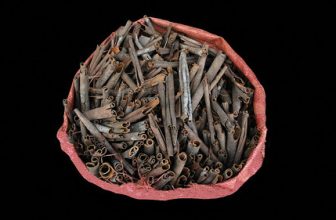 Vietnam – Hanoi – Market – Cinnamon – 7d