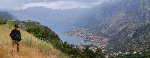 Hiking towards the blooming greenweeds above Bay of Kotor