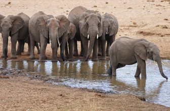 World Water Day 2022, 22 March