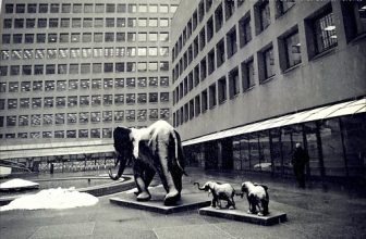 Wildlife roaming free. No Commerce in Commerce Court.