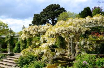 Magical Moments, Bodnant Garden.
