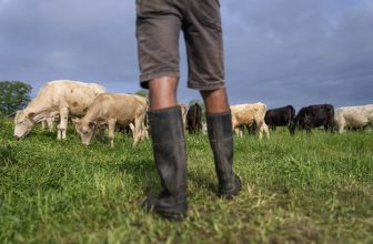 Nebraska wanted the GOP’s agenda. Is this the cost?