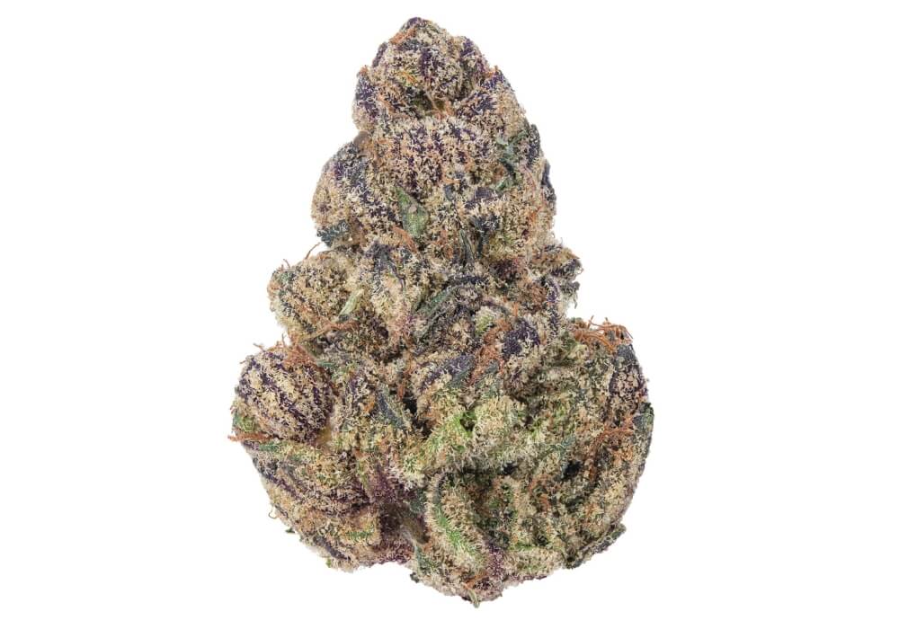 Candy Gelato THCa - What are the Strongest THCa Strains available right now? Candy Gelato THCa