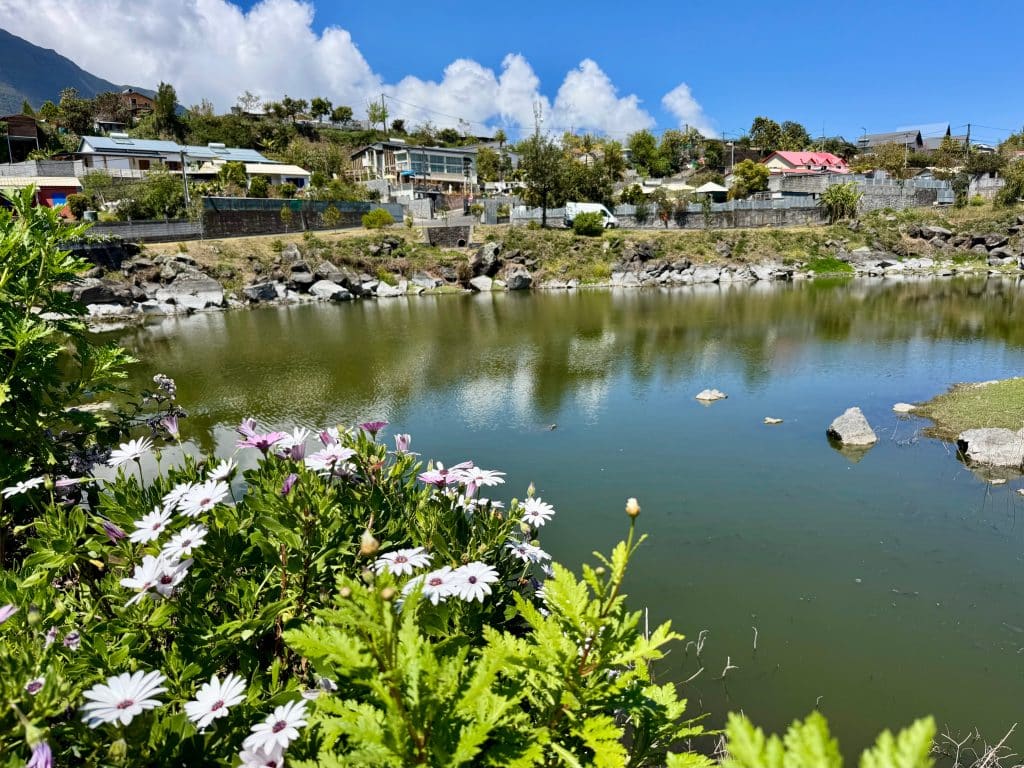 A calm lake surrounded by cottages and flowers underneath a blue sky.