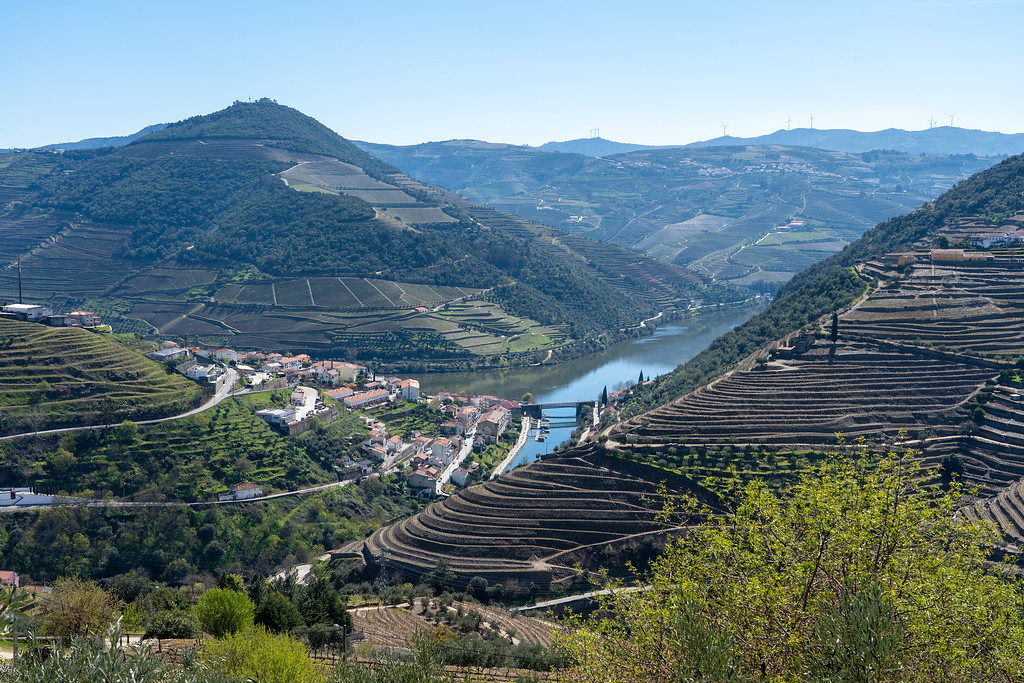 Douro Valley viewpoint with vineyards on hills