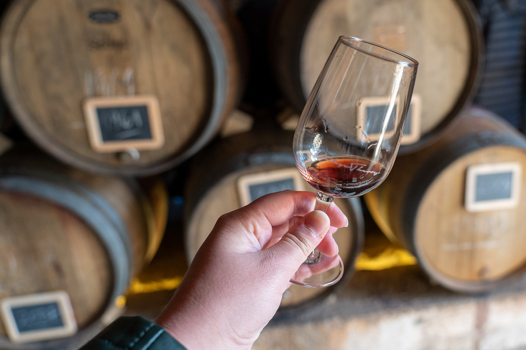 Port tasting in the Douro Valley