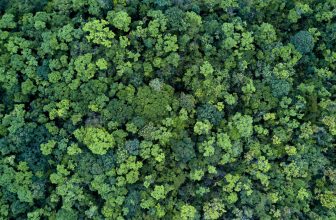 European Union: ESAs see progress in PAI disclosures under SFDR but room for further improvement