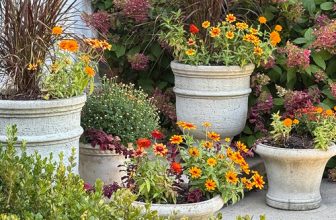 Rebecca’s Connecticut Garden in Fall