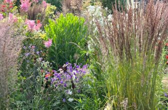 Kathleen’s Meadow Garden in Washington