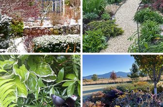 Thank You, GPODers! – Fine Gardening