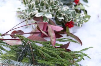 The Best Fresh Christmas Greenery for Decorating (+ Which Ones to Avoid)