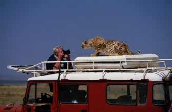 Stablecoins and Treasuries: A Fragile Funding Link Investors Can’t Ignore