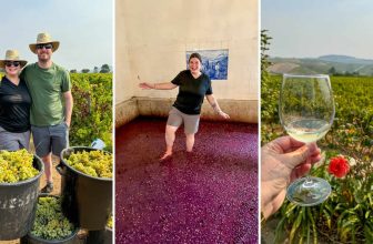 How You Can Stomp Grapes in the Douro Valley in Portugal