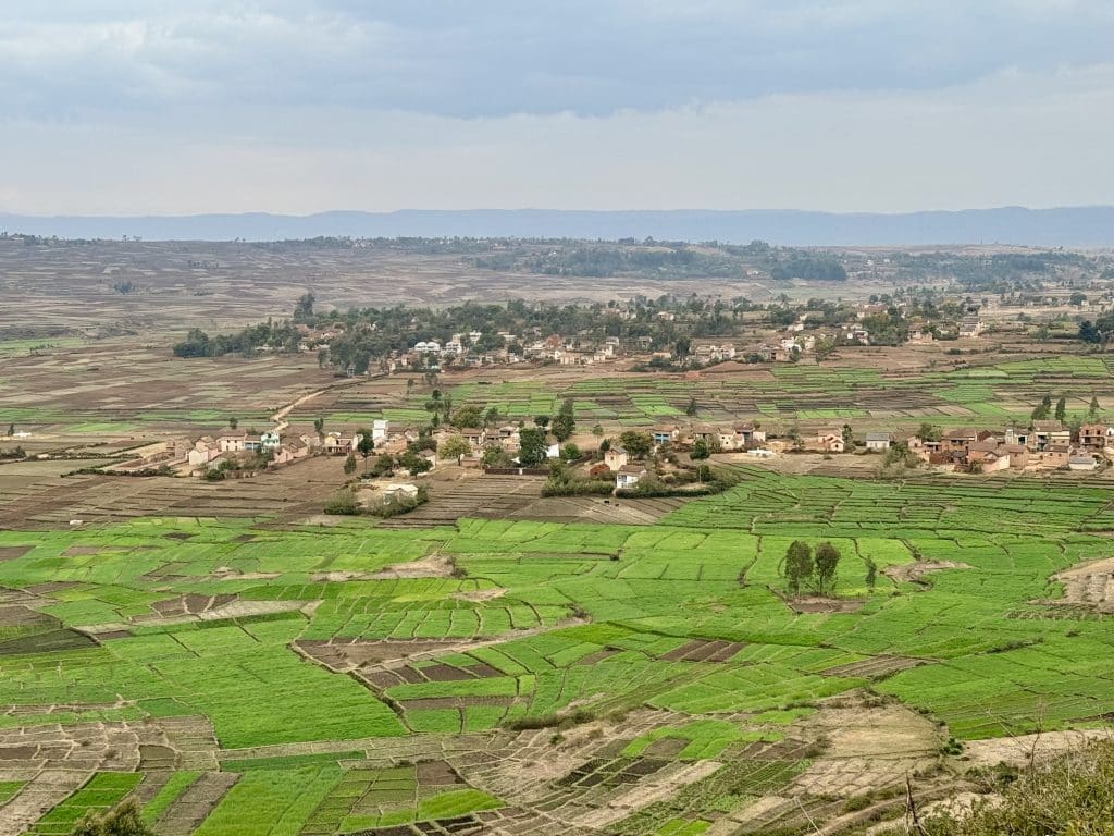 A faraway view of endless green rice paddies in Madagascar.