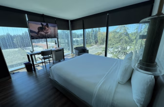 Mountain View Solo Travel Guide plus Shashi Hotel Review