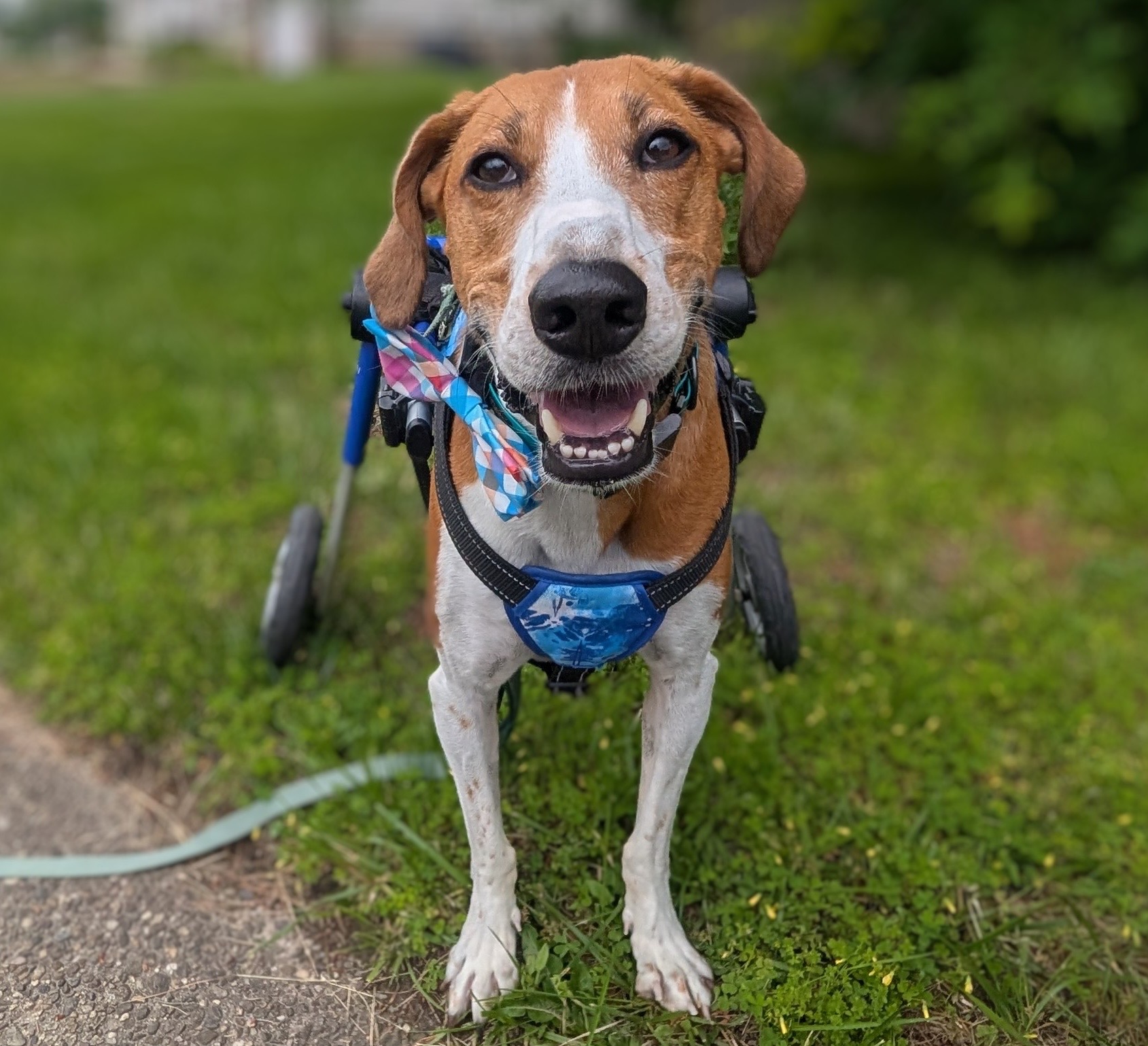 Lt. Dan COURTESY: Laura Person