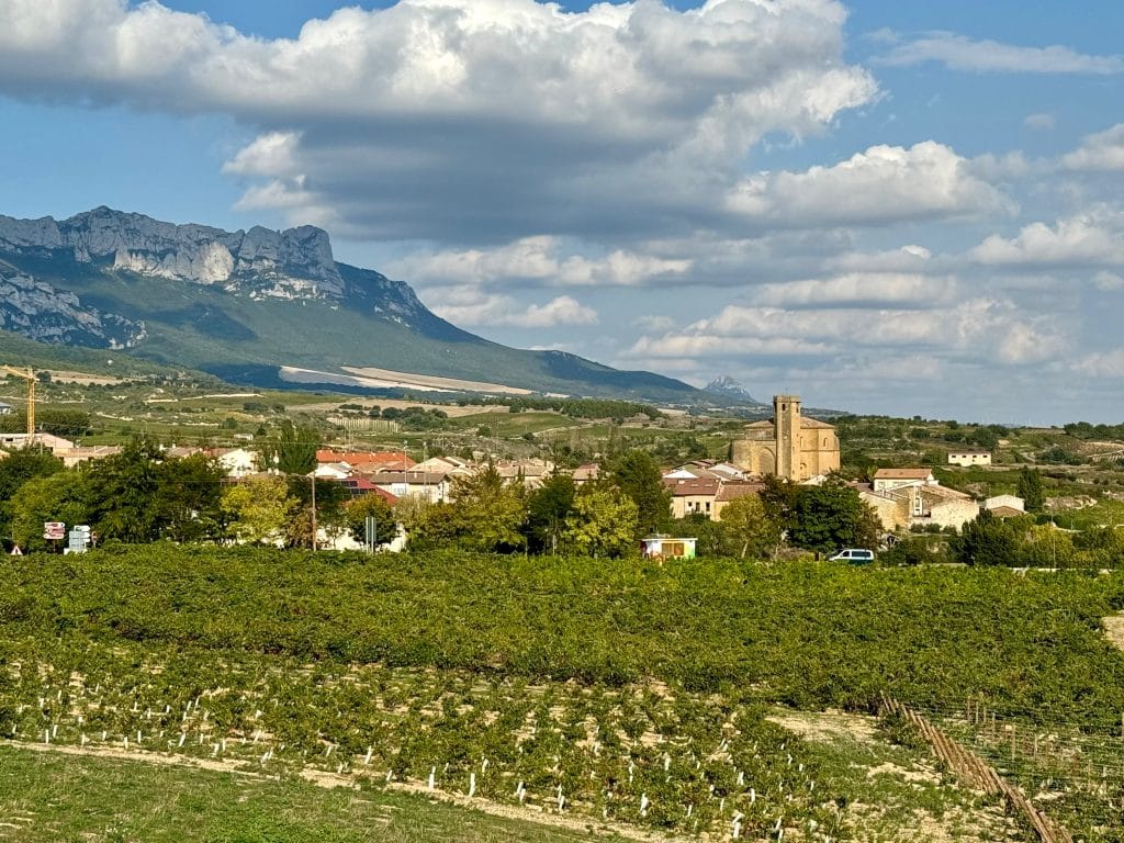 Endless vines in a vineyard, with a church and mountain in the background.